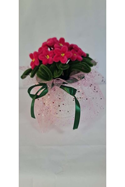 HANDDMADE Aranjament floral , Violete de parma