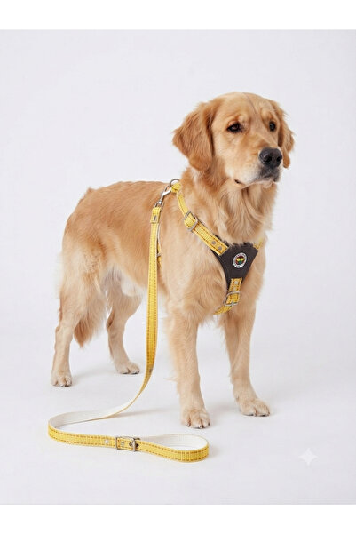 YILPAX Köpek Göğüs Tasması ve Gezdirme Kayışı Seti Deri Panelli Dokuma Ayarlanabilir Orta Irk