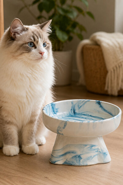 Pawicci 2-Li 12° Eğimli Seramik Marble Blue Kedi Kopek Mama ve Su Kabı Yükseltilmiş Boyun Rahatligi Omurga Destekleyici Set
