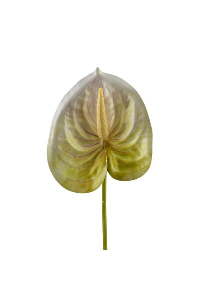 MONDEX Floare artificială din plastic Viridis Anthurium 60cm verde 1 buc.