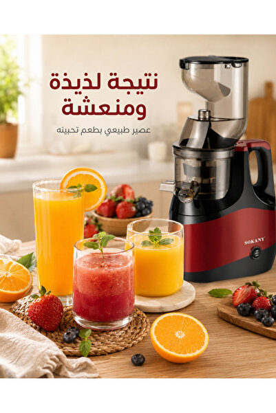 Lorraya Electric Slow Juicer Extractor Machine for Fruits and Vegetables