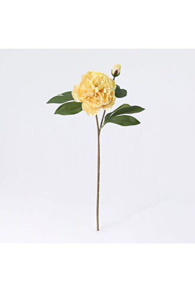 Generic New In Fernza Peony Reddish Violet Single Stem Yellow H58Cm