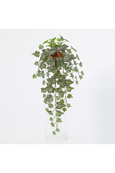 Generic New In Fernza Ivy Hanging Plant Green H55Cm
