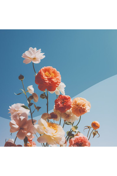 Bloom & Sow Seed بذور زنبق مختلطة بألوان دافئة - أزهار مزدوجة بلون الخوخ والب...