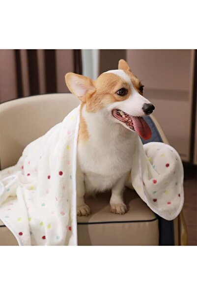 MOTIM 1 Pack 3 Blankets Super Soft Fluffy Premium Fleece Pet Blanket Flannel ...