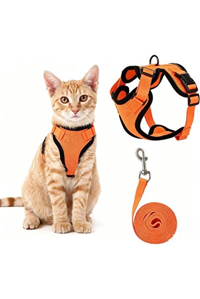 STARSTAR Cat harness with leash - Cat leash - Kitten harness - Adjustable - S...