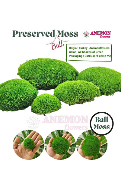 Top Yosun Şoklanmış 1 M2 Ball Moss Yeşil