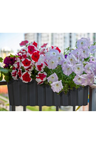 Deco4Home SET 3X JARDINIERE SUSPENSĂ PENTRU BALCON, JARDINIERE PENTRU BALUSTE...