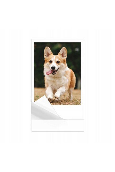 NO BRAND Cartușe de hârtie foto 52.3 × 90mm pentru imprimanta NELKO PP03 PP01...