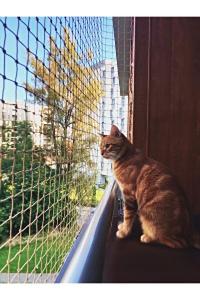 NO BRAND Plasă de protecție pentru pisici, cea mai groasă, pentru balcon și f...