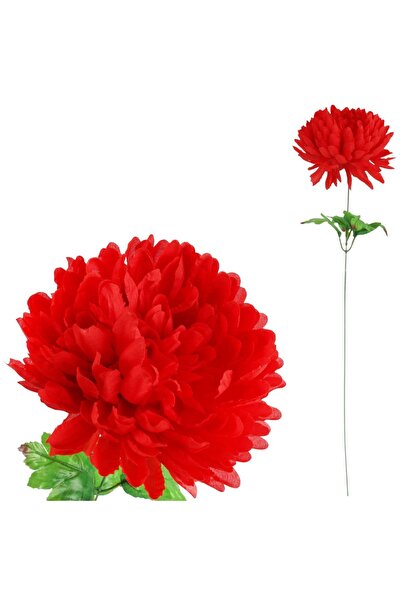 Goliat Crizantemă floare individuală culoare roșie 62 cm