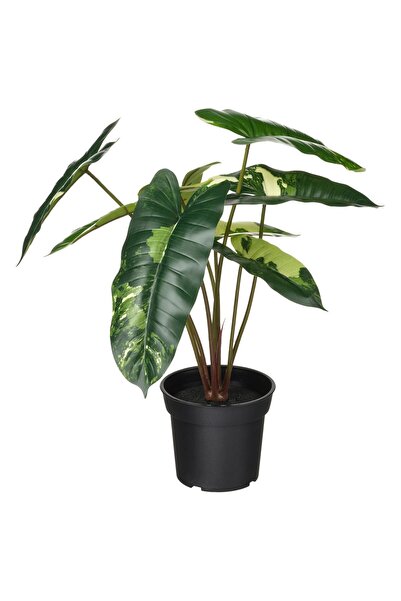 FEJKA artificial plant in pot, indoor/outdoor philodendron/green/white, 15 cm