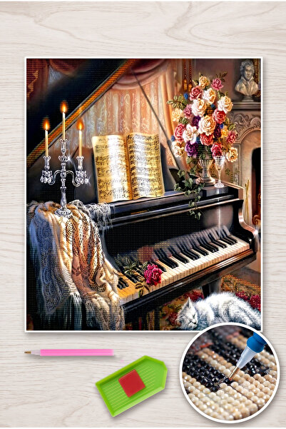 LİVA CRAFT Art & Craft Diamond Mosaic Painting, Diamond Painting Puzzle 40 X ...