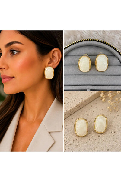 Bozhi Earrings Steel Elegant Gift