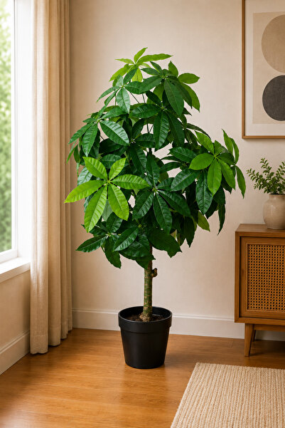 Generic Artificial Fortune Tree Plant 135cm Tall