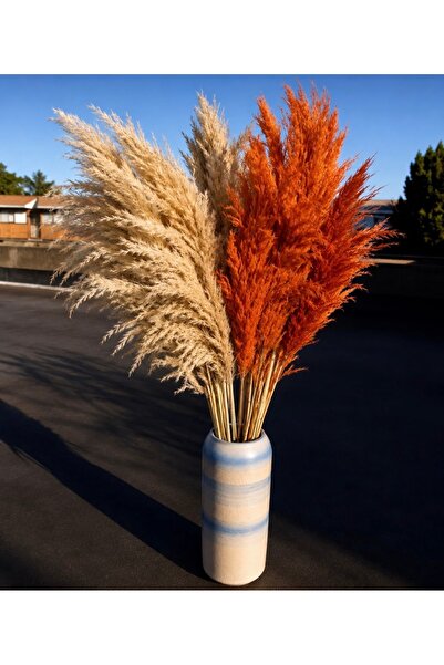 TROYA TURUNCU / KREM Pampas 20 Adet 100 Cm