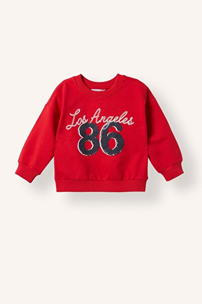 DeFacto Crew Neck Printed Sweatshirt Baby Boy H8401A526Au