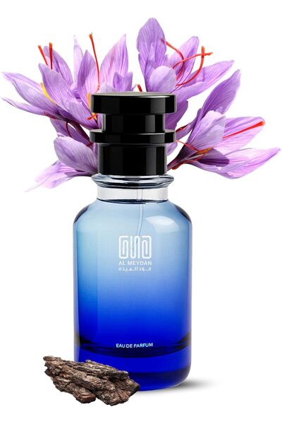 OUD AL MEYDAN Oil Based Perfume for Men – Inspired by One Millioen Golden Oud...