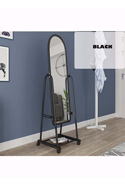 Generic Full-Length Mirror Full boby Mirror with Wheels and Bracket Mobile St...
