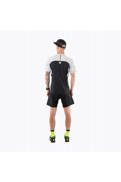 NO BRAND Tricou de alergare bărbați DYNAFIT Alpine Pro nimbus melange 46/S