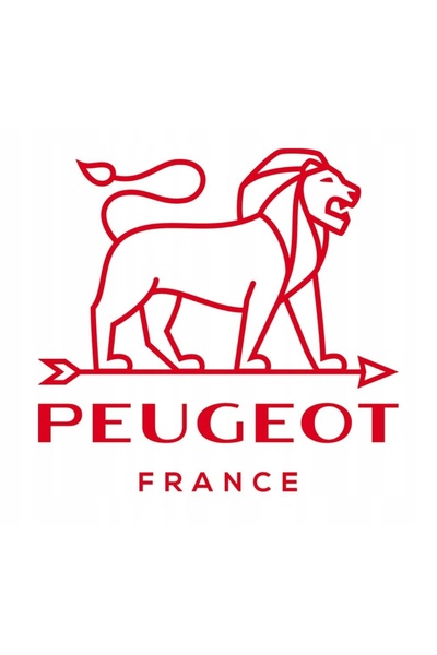 NO BRAND Râșniță de sare Peugeot Paris 12cm neagră