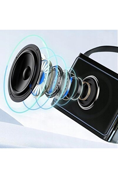 NO BRAND BOXĂ PORTABILĂ WIRELESS CU 2 MICROFOANE - MODEL HIFI: 219D