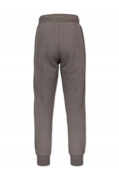 NO BRAND Pantaloni de trening Pitbull bărbați LOGO MIC gri HD mărimea S