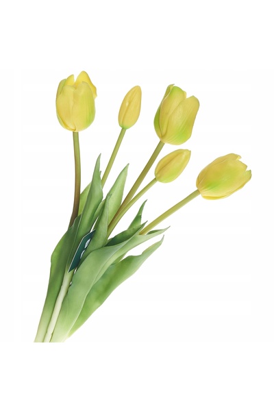 NO BRAND TULIPANY GUMO FLORI DE SILICON FLORI DE LALELE CU EFEKT DE FLORI VIV...