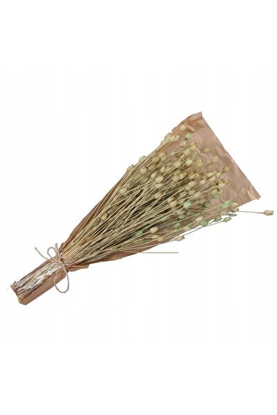 NO BRAND FLORI DE IARBĂ NATURALE USCATE DECORATIVE 100G