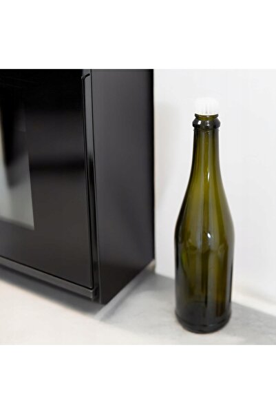 NO BRAND 10x Sticle de plastic tip pahar pentru șampanie, cidru, vin, 750ml, ...