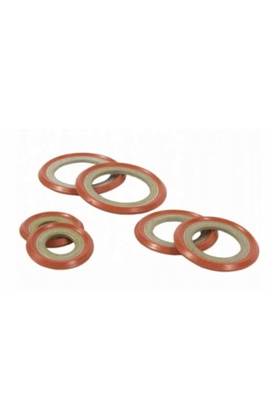 Apex Set - garnituri și șaibe metalice și din cauciuc 60 bucăți Ford 5181037