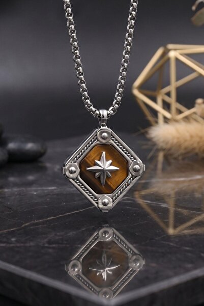Prestige Compass Figured Tiger's Eye Stone Necklace Stainless Steel Chain 902896