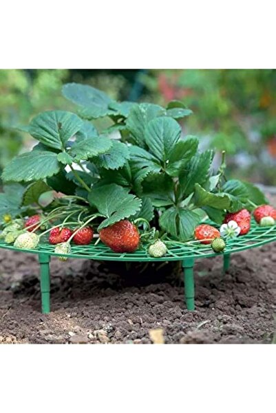 Generic Iceyyyy 5 Packs - [Strawberry] Plant Support, Growing Racks and Frame