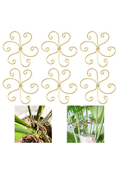 Generic Bukela 6pcs Plant Stem Support Iron Monstera Plant Support Plant Stem...