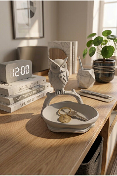 GIFT MALL Modern Baykuşlu Dresuar Üstü Anahtarlık, Takılık ve Düzenleyici
