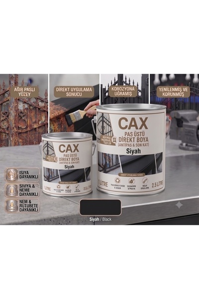 caxcolors CAX Pas Üstü Direkt Metal Boyası Antipas Dahil Koruyucu Parlak Dış ...