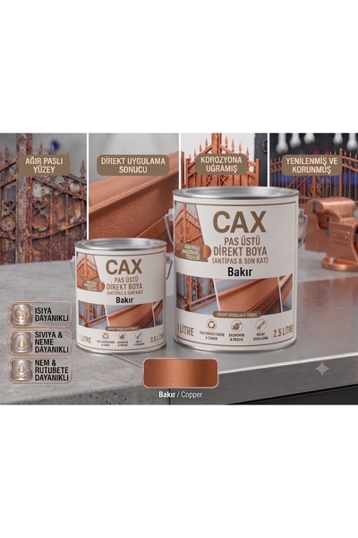 caxcolors CAX Pas Üstü Direkt Metal Boyası Antipas Dahil Koruyucu Parlak Dış ...
