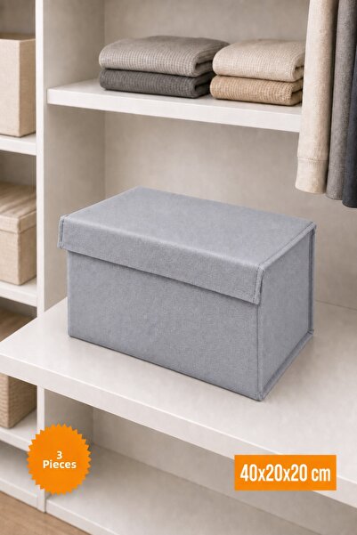 Balkan Room 3 Pieces Gray Closet Organizer with Lid, Foldable Clothing Storag...