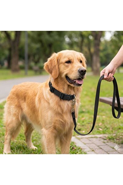 hebmeyy Köpek Tasma Gezdirme, Köpek Gezdirme Takımı, Mini Ve Orta Irk, Yavru ...