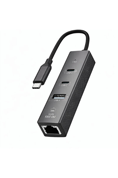 Skygo Type-C To 2 Type- Usb Gigabit Ethernet ZR1207