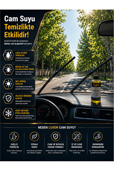 Luxor Kimya Konsantre Oto Cam Suyu Şampuanı 100ml 2 Adet