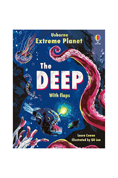 Usborne Children's book - See Inside the Deep
