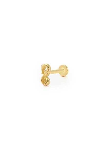Cherry by Özkonak Denizatı Figür Tragus Piercing