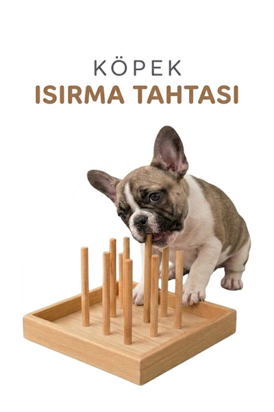 9CAN Doğal Ahşap Yavru Yetişkin Köpek Çiğneme Oyuncağı Diş Kaşıma Aktivite Eğ...