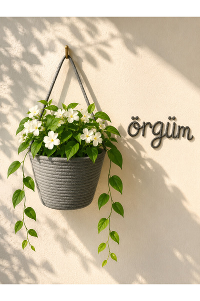 ÖRGÜM Saksılık Dekoratif Çiçeklik Organizer Duvar Sepeti 15x15 cm BİTKİ DAHİL...
