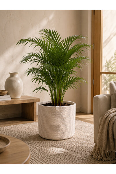 Efuliz Home Jute Wicker Multi-Purpose Decorative Organizer Flower Pot Basket ...