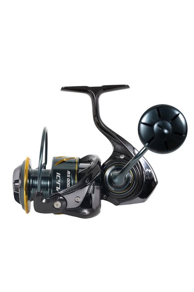 RYUJI Rocky 4000Sw 8+1Bb Reel