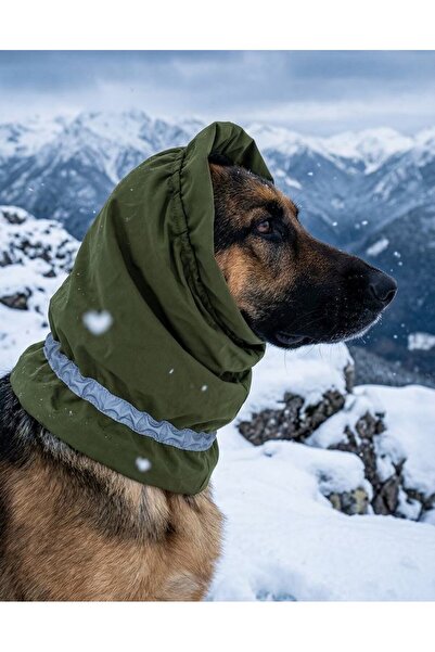 Petza Köpek Kulak Koruyucu Su Geçirmez Şapka Calmora