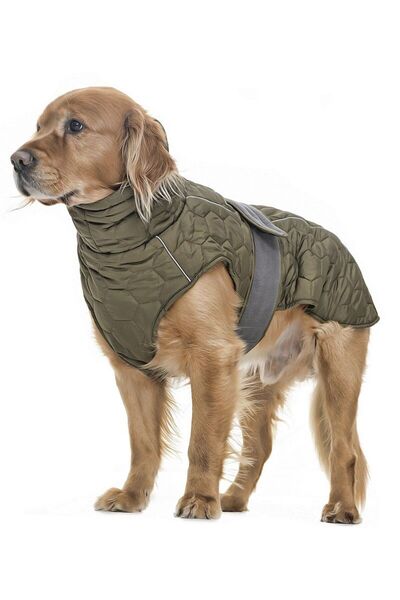 Petza Orta ve Büyük Irk Köpek Mont - Yukata