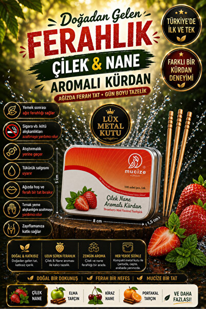 mucize Çilek-Nane Aromalı Kürdan Metal Kutu